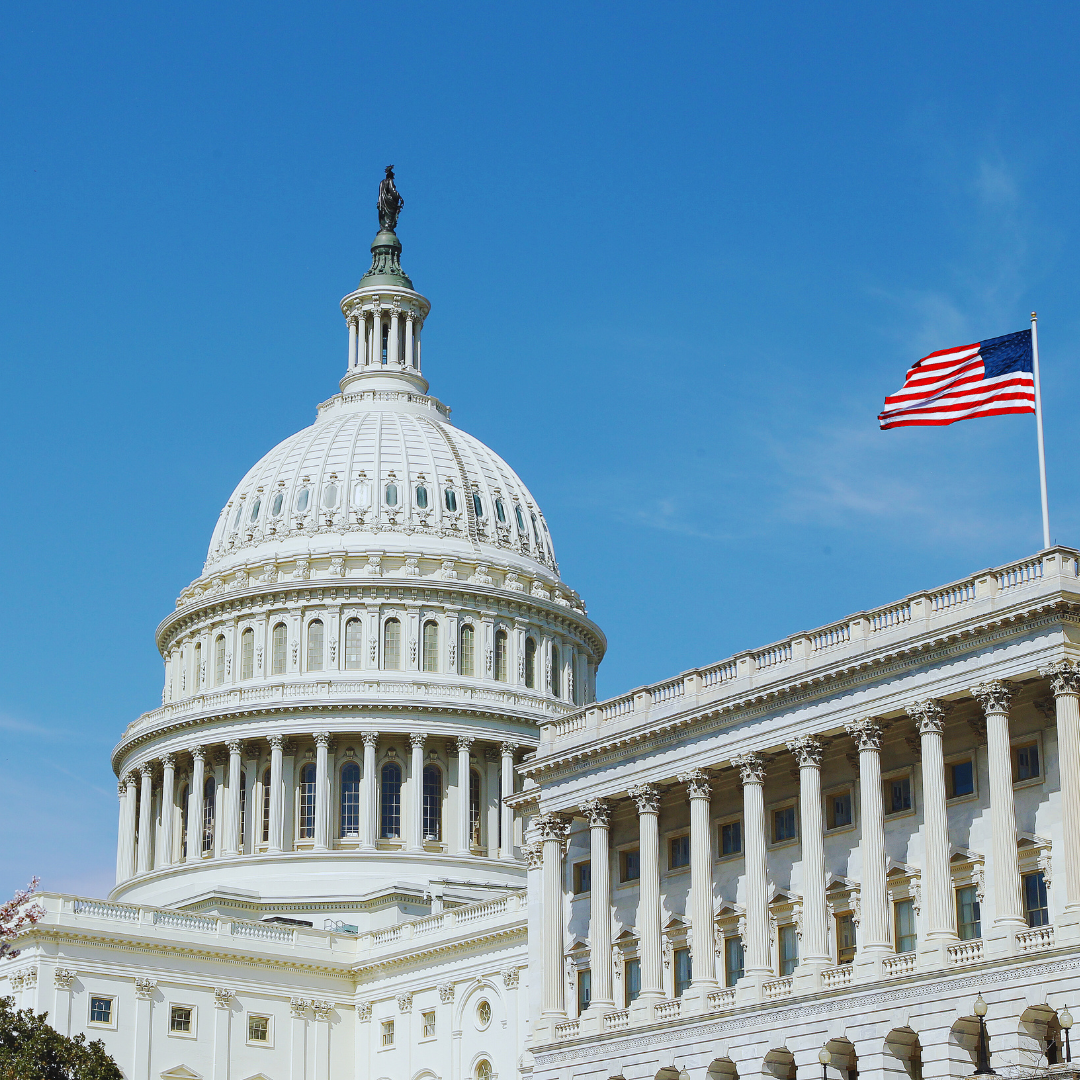 The Structure and Function of the U.S. Constitution: An In-Depth Analysis